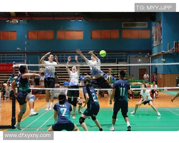 广州排球队节奏对比深度解析与战术探讨