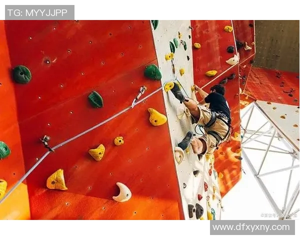 武汉攀岩队协作新模式探索热议攀岩运动的未来发展与挑战