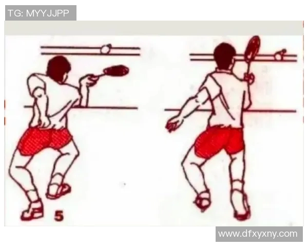 羽毛球单打技巧与双打策略的差异化训练法