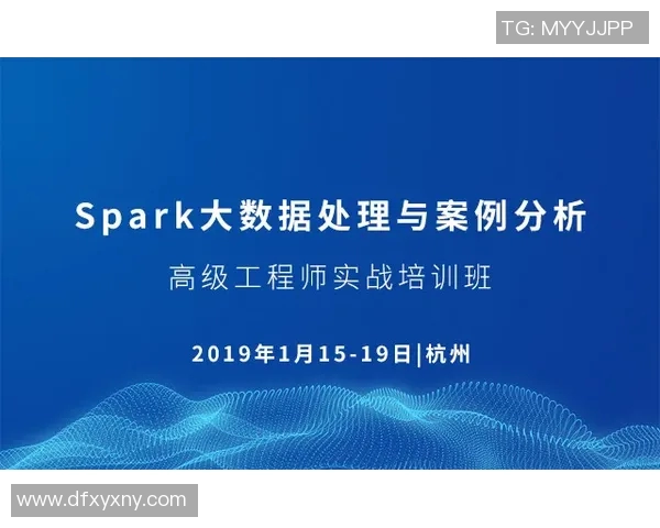 杭州飞盘队比赛经验分析与数据解读探讨
